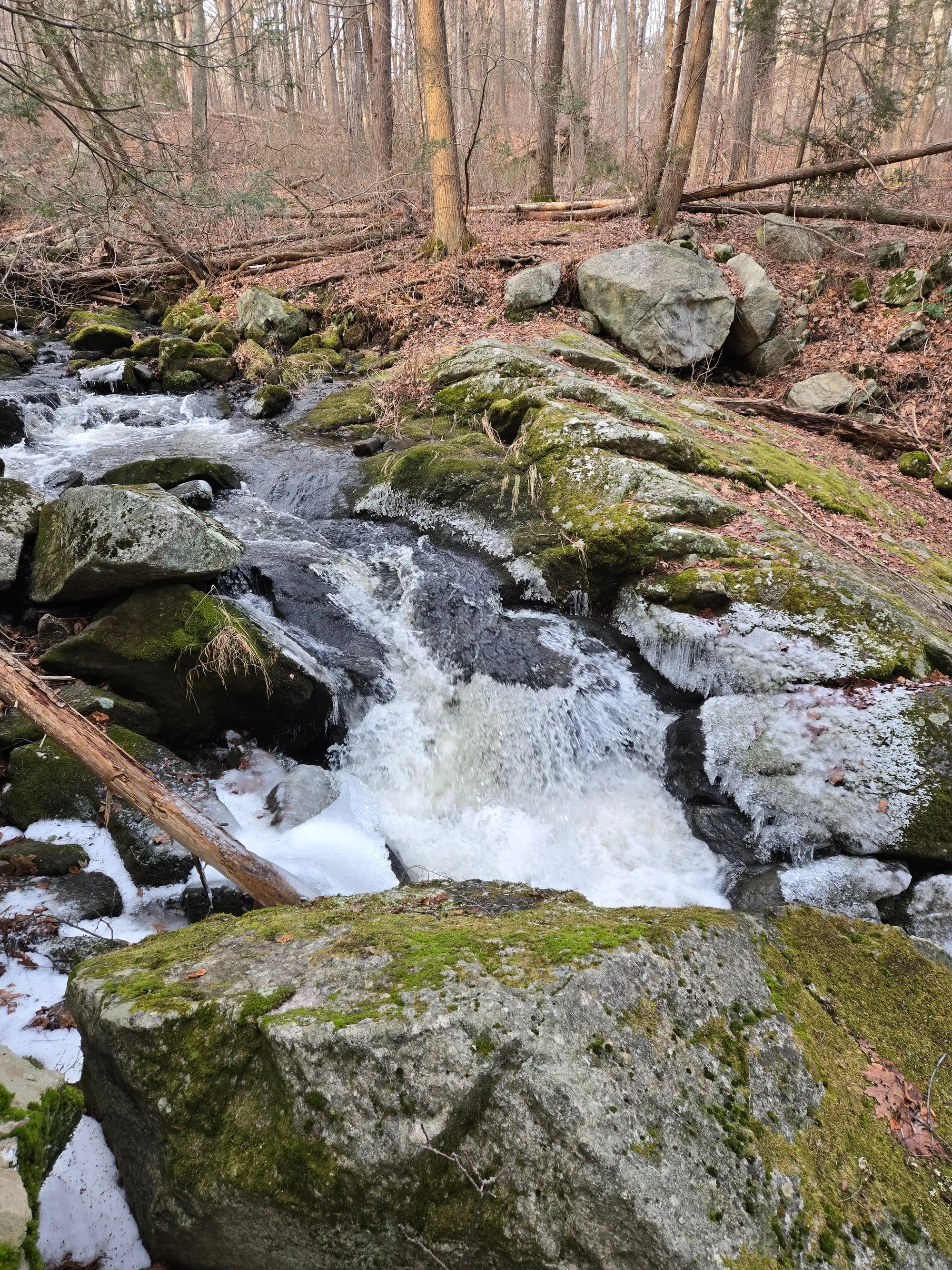 Wendell Berry Remembered